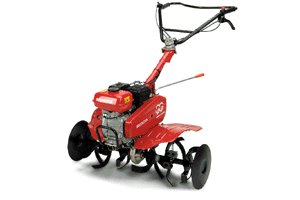 Tuinfrees honda 5 pk